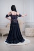 Professional bellydance costume (Classic 294 A_1)